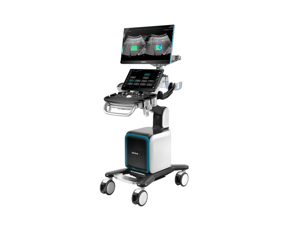 ����� �̹���